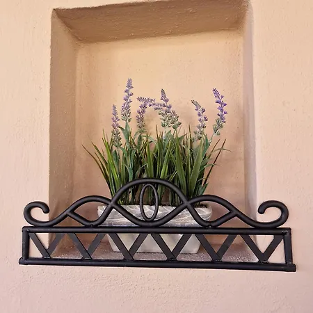 Guest House Elatochori بيت للعطل *